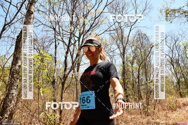 Buy your photos of the eventWOS Festival  on Fotop