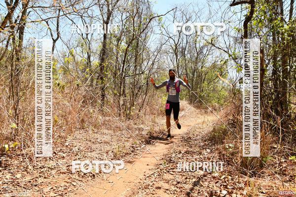 Buy your photos of the eventWOS Festival  on Fotop