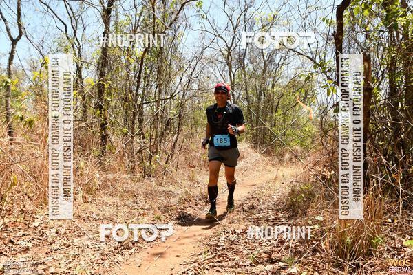 Buy your photos of the eventWOS Festival  on Fotop