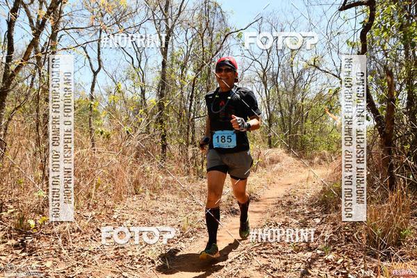 Buy your photos of the eventWOS Festival  on Fotop