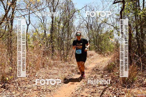 Buy your photos of the eventWOS Festival  on Fotop