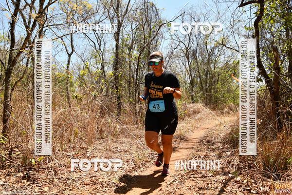 Buy your photos of the eventWOS Festival  on Fotop