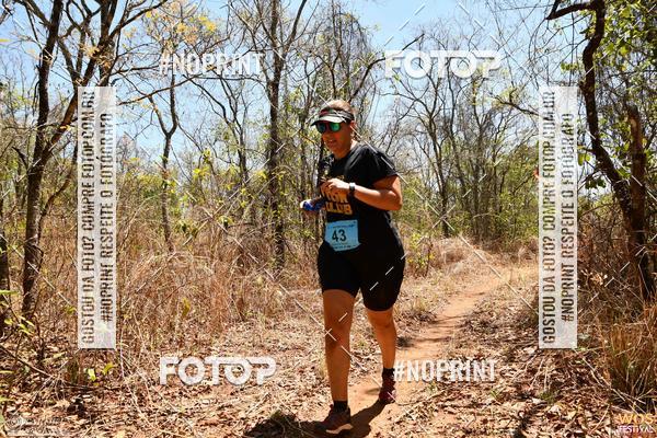 Buy your photos of the eventWOS Festival  on Fotop