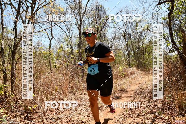 Buy your photos of the eventWOS Festival  on Fotop