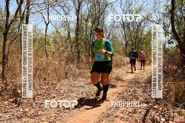 Buy your photos of the eventWOS Festival  on Fotop