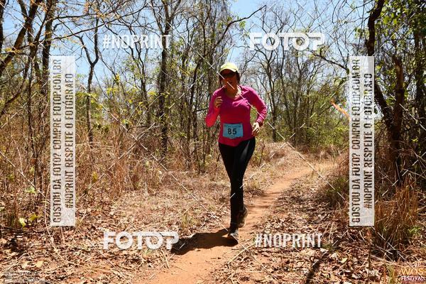 Buy your photos of the eventWOS Festival  on Fotop