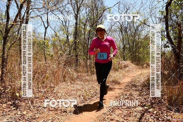 Buy your photos of the eventWOS Festival  on Fotop