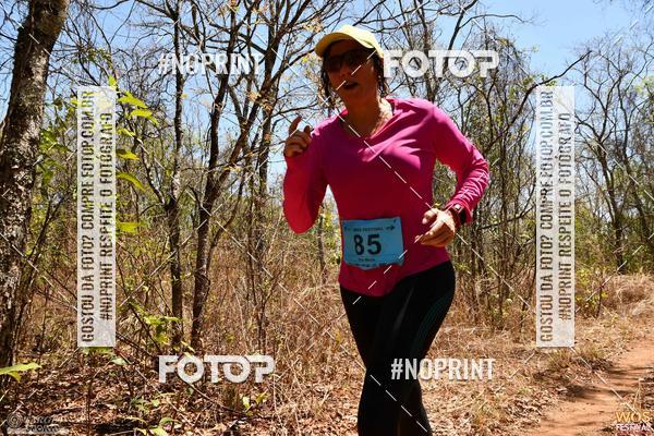 Buy your photos of the eventWOS Festival  on Fotop