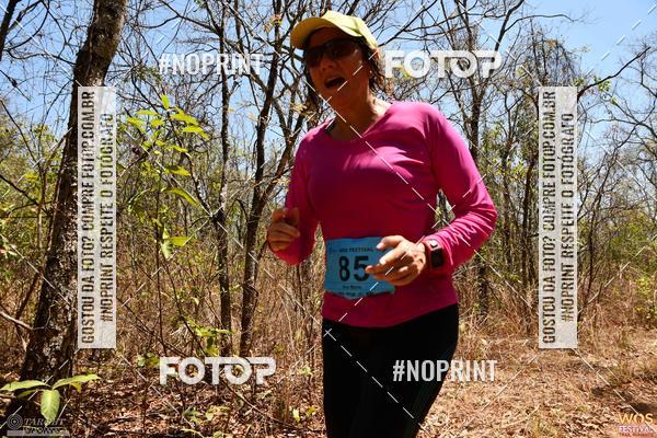 Buy your photos of the eventWOS Festival  on Fotop