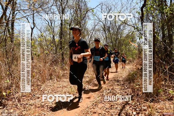 Buy your photos of the eventWOS Festival  on Fotop