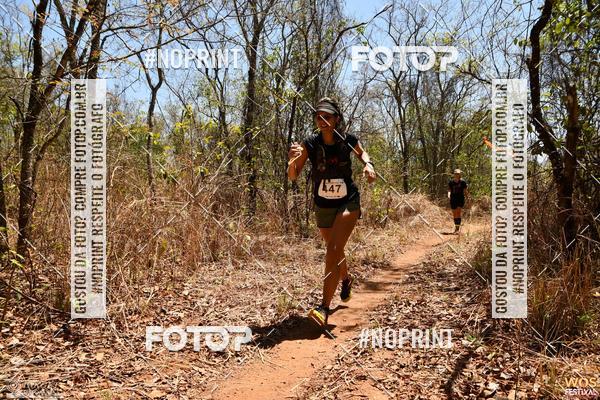 Buy your photos of the eventWOS Festival  on Fotop