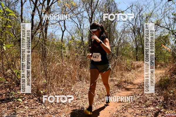 Buy your photos of the eventWOS Festival  on Fotop