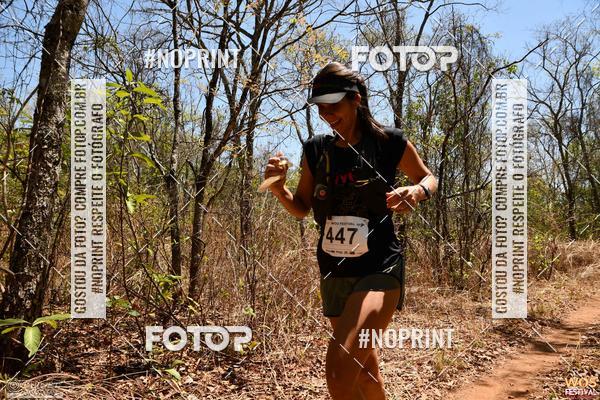 Buy your photos of the eventWOS Festival  on Fotop