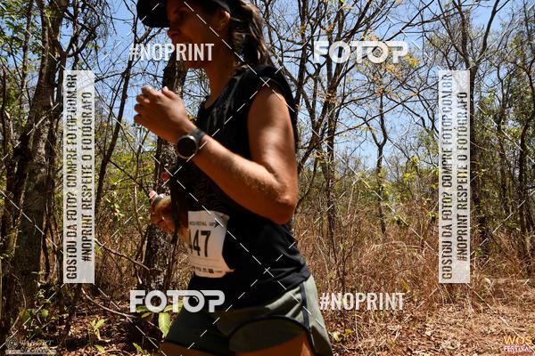 Buy your photos of the eventWOS Festival  on Fotop