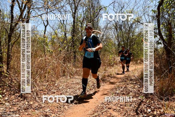 Buy your photos of the eventWOS Festival  on Fotop