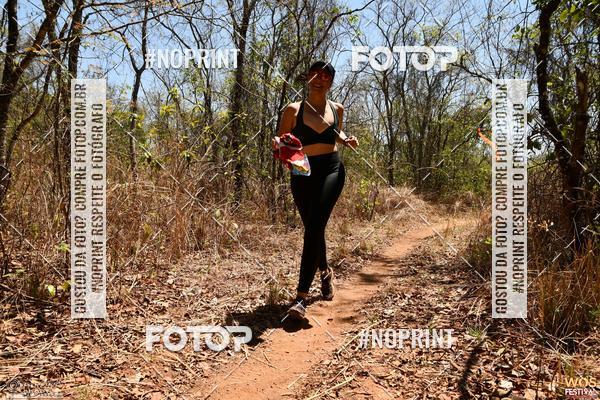 Buy your photos of the eventWOS Festival  on Fotop