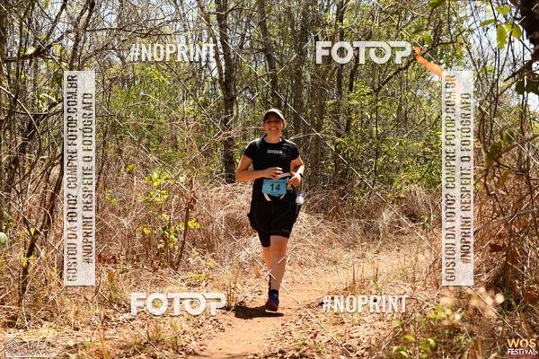 Buy your photos of the eventWOS Festival  on Fotop