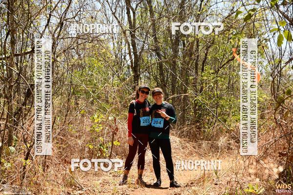 Buy your photos of the eventWOS Festival  on Fotop