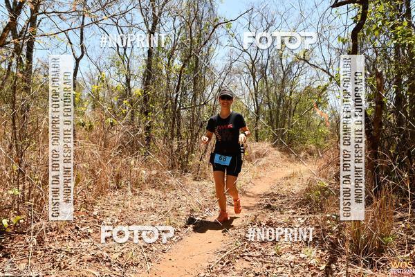 Buy your photos of the eventWOS Festival  on Fotop