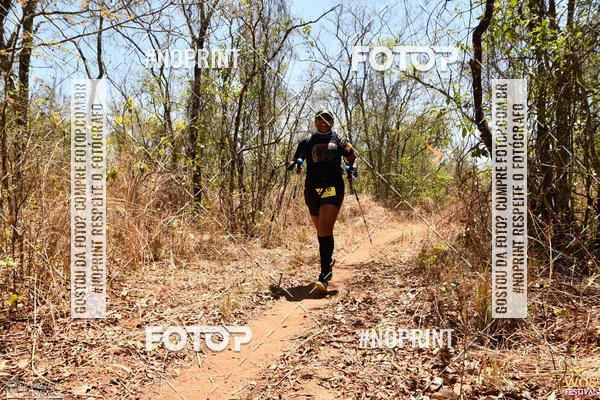 Buy your photos of the eventWOS Festival  on Fotop