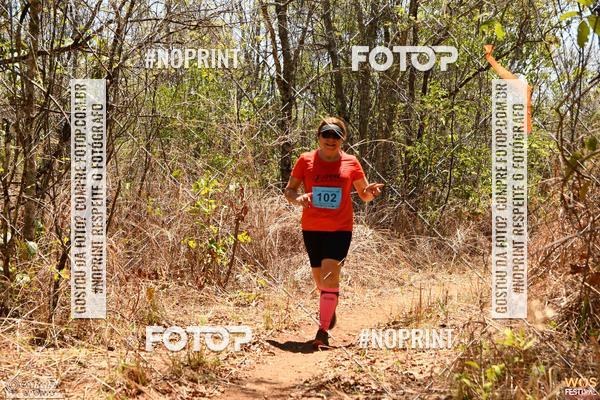 Buy your photos of the eventWOS Festival  on Fotop
