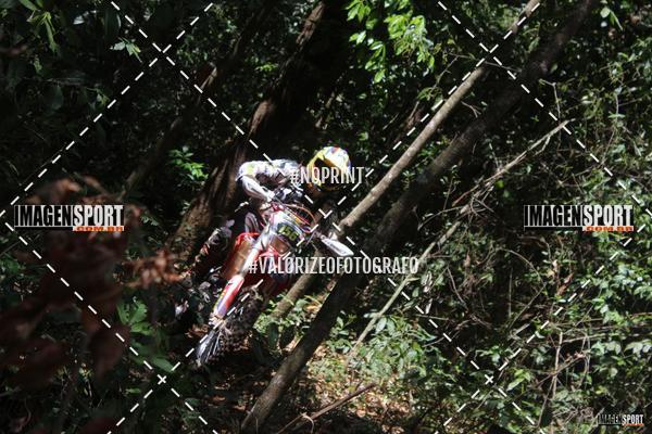 Compre as suas fotos do evento1 Trilho da Alta Mogiana no Fotop