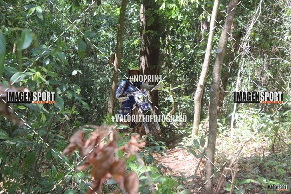 Compre as suas fotos do evento1 Trilho da Alta Mogiana no Fotop