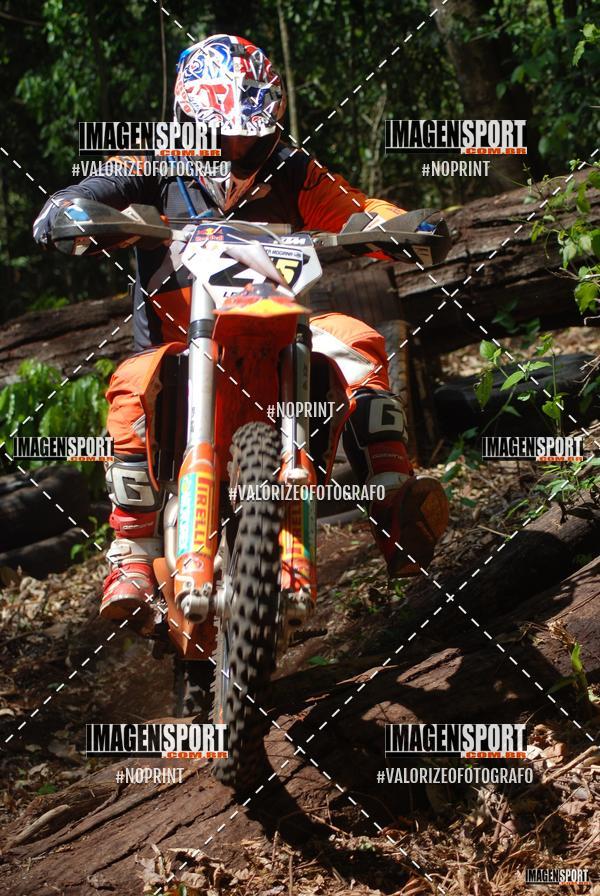 Buy your photos of the event1 Trilho da Alta Mogiana on Fotop