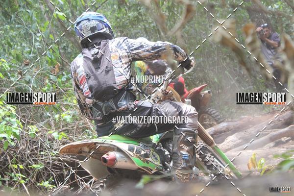 Acquista le foto dell'evento1 Trilho da Alta Mogiana in Fotop