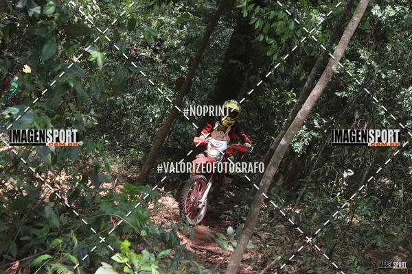 Buy your photos of the event1 Trilho da Alta Mogiana on Fotop