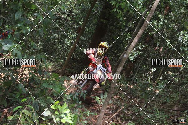 Buy your photos of the event1 Trilho da Alta Mogiana on Fotop