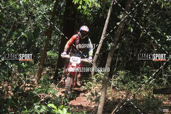 Buy your photos of the event1 Trilho da Alta Mogiana on Fotop