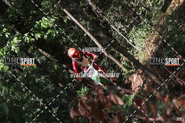 Buy your photos of the event1 Trilho da Alta Mogiana on Fotop