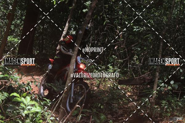 Buy your photos of the event1 Trilho da Alta Mogiana on Fotop