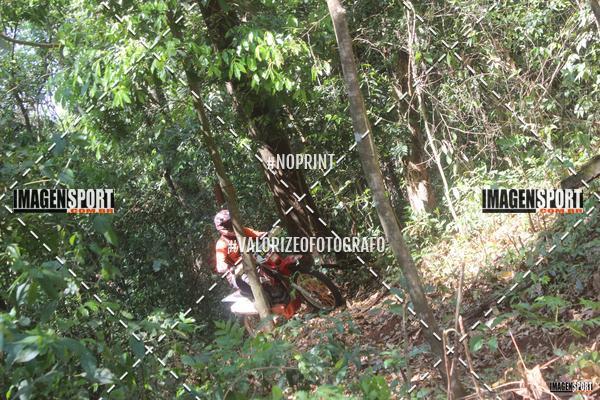 Buy your photos of the event1 Trilho da Alta Mogiana on Fotop