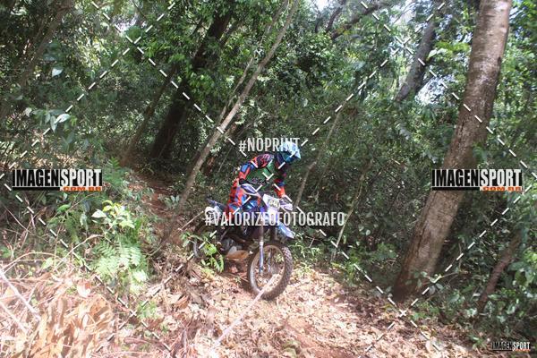 Buy your photos of the event1 Trilho da Alta Mogiana on Fotop