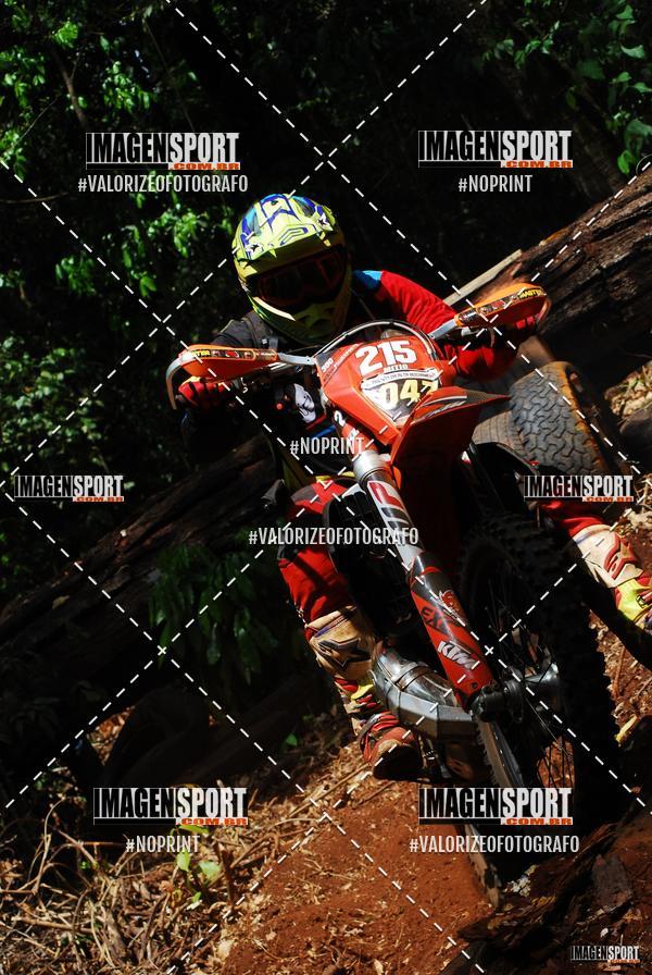 Buy your photos of the event1 Trilho da Alta Mogiana on Fotop