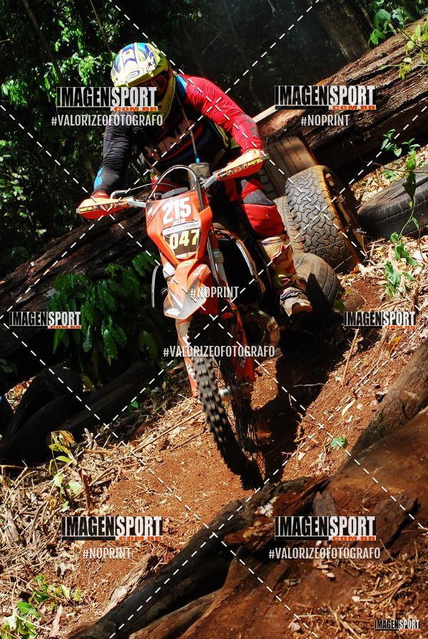 Buy your photos of the event1 Trilho da Alta Mogiana on Fotop