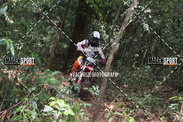 Buy your photos of the event1 Trilho da Alta Mogiana on Fotop