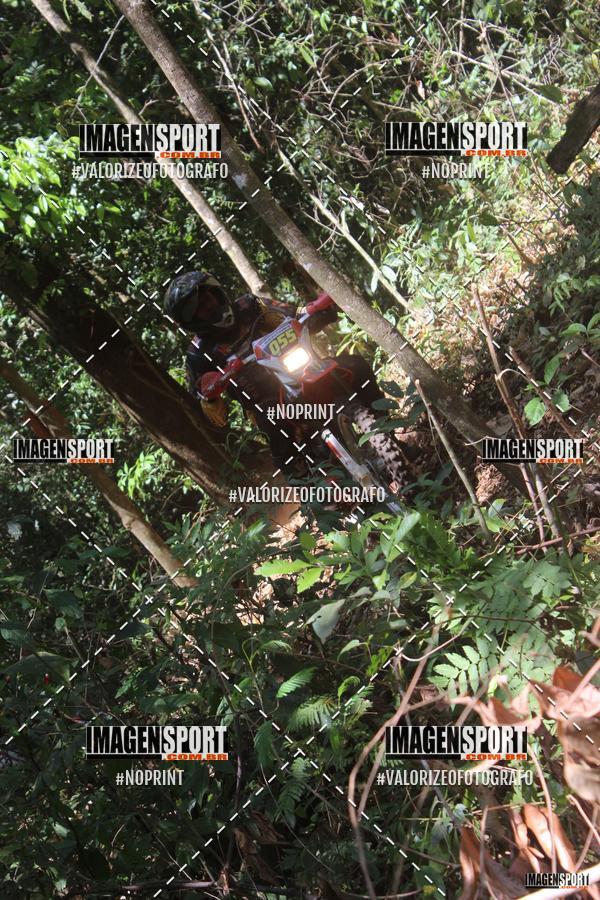 Buy your photos of the event1 Trilho da Alta Mogiana on Fotop