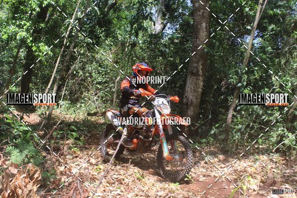 Buy your photos of the event1 Trilho da Alta Mogiana on Fotop