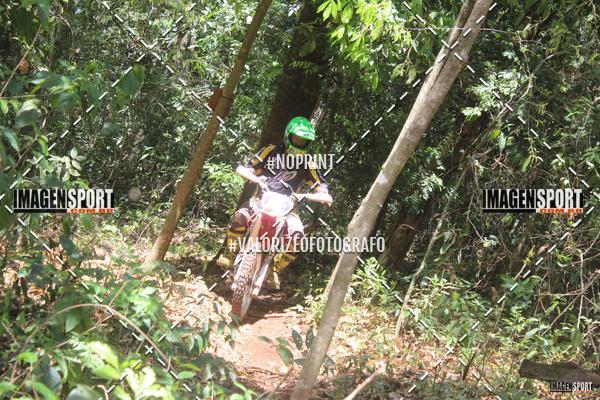 Buy your photos of the event1 Trilho da Alta Mogiana on Fotop