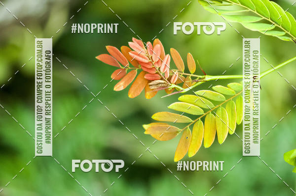 Buy your photos of the eventAdventure Camp on Fotop