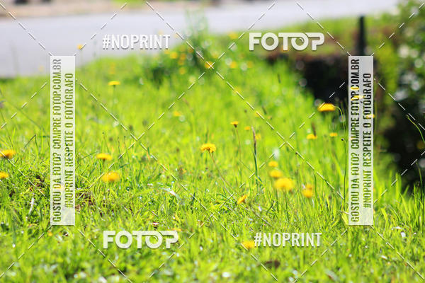 Buy your photos of the eventOAB CORRE Campos do Jordo on Fotop