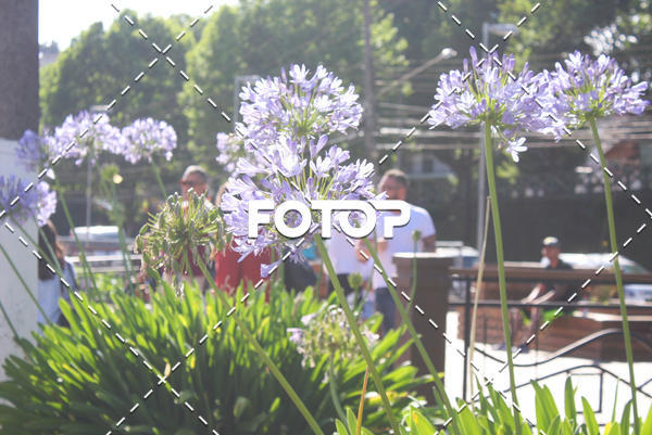 Acquista le foto dell'eventoOAB CORRE Campos do Jord�o in Fotop