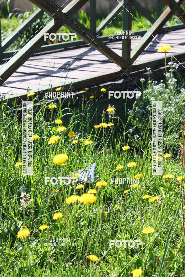 Acquista le foto dell'eventoOAB CORRE Campos do Jord�o in Fotop