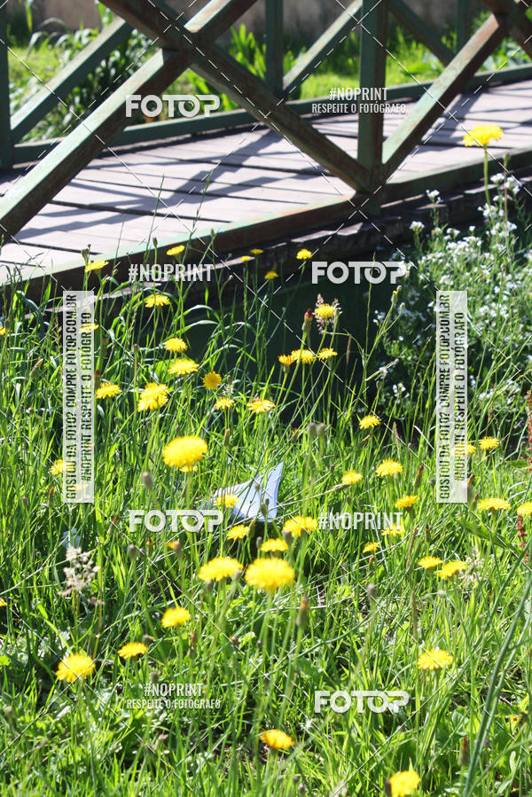 Acquista le foto dell'eventoOAB CORRE Campos do Jord�o in Fotop