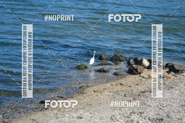 Buy your photos of the eventCorrida Beneficente Rumo ao Mundial on Fotop