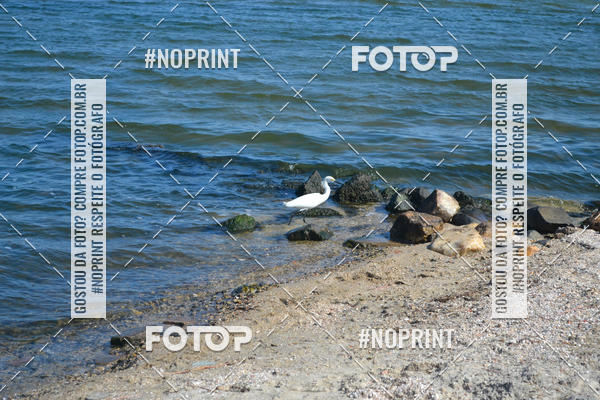 Buy your photos of the eventCorrida Beneficente Rumo ao Mundial on Fotop