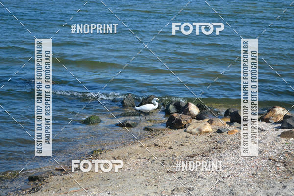 Buy your photos of the eventCorrida Beneficente Rumo ao Mundial on Fotop